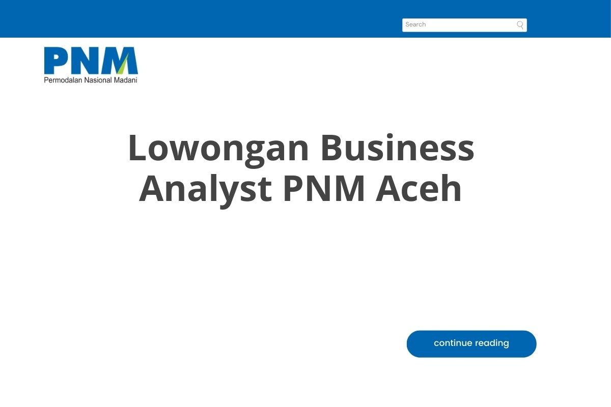 Lowongan Business Analyst PNM Aceh