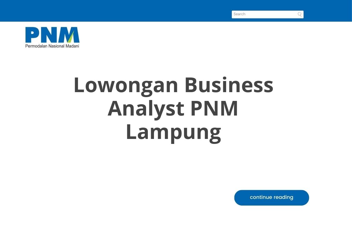 Lowongan Business Analyst PNM Lampung